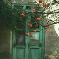 پسر-مجرد-خونه-فاز-دو
