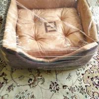 جای خواب سگ و گربه