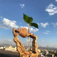 گلجای ایران تک وعمده