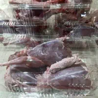 گوشت کفتر پاک کرده تمیز
