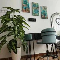 رینگ لایت سایز بزرگ و میز وصندلی ناخن