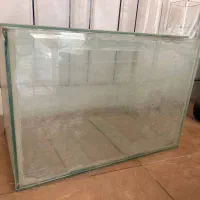 اکواریوم