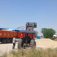 جو محلی