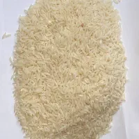 برنج هاشمی دم لول کشت امسال
