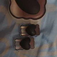 محافظ شارژر