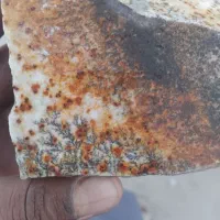 سنگ درختی