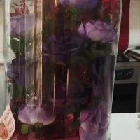 گل ۸۰۰
