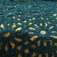 پارچه مجلسی