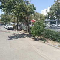 260متر-17شهریور-عنصری-توکلی-تراکم-زیاد
