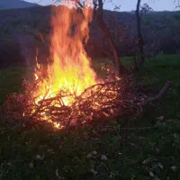 بار بری