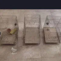 فروش قفس پرنده برای قناری و فنچ و مرغ عشق