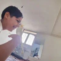 عروس هلندی