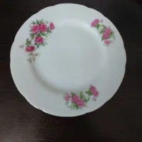کوکو خوری گل سرخی