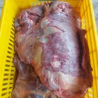 گوشت گوساله گرم،  کشتار روز
