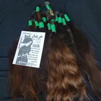 خریدار موی  طبیعی بدون واسطه
