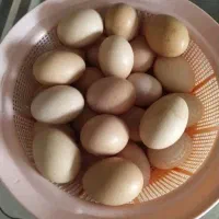 تخم مرغ محلی