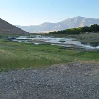 ۲عدد کود سفید