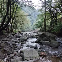 زمین-مسکونی-دونبش-چشم-انداز-بی-نظیر