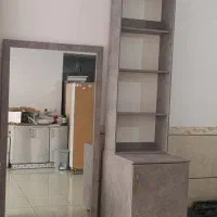 قفسه و آینه
