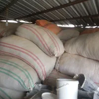 کاه جو امسال برای فروش.