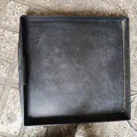 کفی قفس و دانه خوری