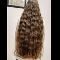 موی طبیعی بانوان