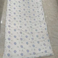 دو عددتشک پنبه ای در حد نو