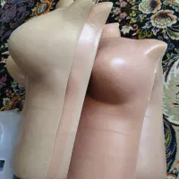 تعدادی مانکن لباس زیر  و رگال