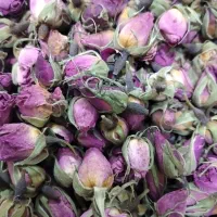 غنچه گل محمدی عطری