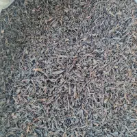 چای سرگل و چای قلم ممتاز لاهیجان