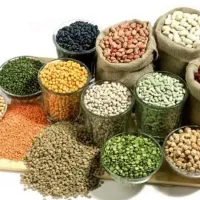 حبوبات به قیمت عمده