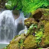 هممسیر