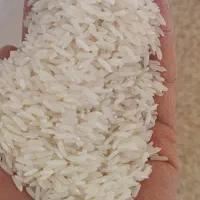 تایلندی دانه بلند ارمین رزن فامنین همدان