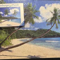 پازل ۳۰۰۰ تکه ravensburger