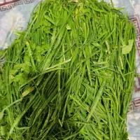 پرس یونجه