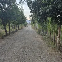 خونه باغ فیروزکوه