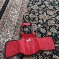 هوگو