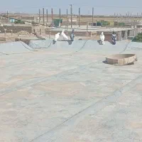 کفتر