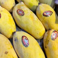 زنجبیل+آناناس، گوجه سبز