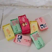 دستمال مرطوب جیبی