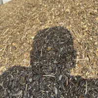 خوراک دام گاو گوسفند