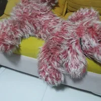 عروسک سگ بزرگ