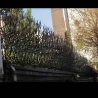 تولیدی حفاظ شاخ گوزنی(اصلی)نرده،سرنیزه ،آکاردئونی