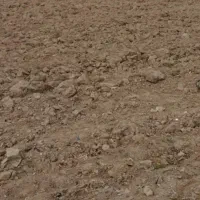 باغچه واقع درجاده خاتم النبیا