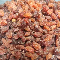 کشمش درگز (40کیلو)