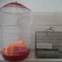 قفس پرنده