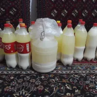 دوغ گوسفندی|خوردنی و آشامیدنی|بردسکن, |دیوار