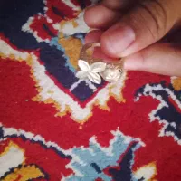 3عدد انگشتر زنانه نونو و یک عدد گردنبند