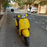 بنلی پانا