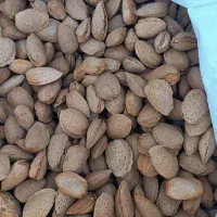 بادام سنگی درجه 1بسیار خوش طعم . ذرت و سویا و جو